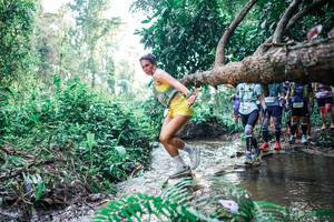 BIB: 
                            <button type="button" onclick="openModal(25455926)" class="btn btn-primary btn-sm float-right btn-popup" data-toggle="modal" data-target=".modal-high-quality">
                        <i class="fas fa-shopping-cart"></i> Add to Cart
                    </button>
                                            <button type="button" onclick="isThisMe(25455926, true)" class="btn btn-success btn-sm float-right btn-popup btn-isme hidden" data-toggle="tooltip" data-placement="bottom" title="นี่คือรูปของคุณใช่ไหม คลิกที่นี่เพื่อเอาเข้าอัลบั้ม">
                        <i class="fas fa-plus"></i> Add to album
                    </button>
                    <button type="button" onclick="isThisMe(25455926, false)" class="btn btn-warning btn-sm float-right btn-popup btn-isnotme hidden">
                        <i class="fas fa-ban"></i> Remove from album
                    </button>